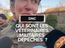 "C'est vraiment une action coup de poing" : qui sont les 15 vétérinaires militaires dépêchés sur le territoire ?
