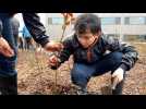 Guingamp : plantation d'une forêt au sein d'un collège