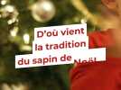 D'où vient la tradition du sapin de Noël ?