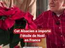 Strasbourg : cet Alsacien a importé l'étoile de Noël en France