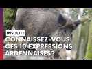 Connaissez-vous ces dix expressions venues des Ardennes?