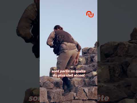 Voici pourquoi l'humanité s'est mise à l'agriculture ! #shorts