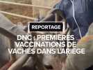 DNC : "On désinfecte, on fait ce qu'il faut au maximum" : au coeur de la campagne de vaccination dans l'Ariège