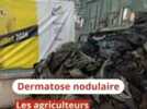 Mobilisation - Une centaine d'agriculteurs manifestent en centre-ville de Nevers et veulent bloquer l'autoroute