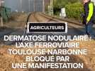 Dermatose nodulaire : l'axe ferroviaire Toulouse-Narbonne bloqué par une manifestation
