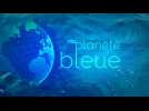 Ma planète Bleue