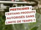 Environnement - La Commission européenne propose d'autoriser sans limite de temps certains pesticides