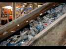 On a poussé les portes d'une immense usine pour suivre le recyclage de vos bouteilles en plastique