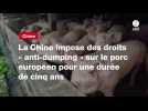VIDÉO. La Chine impose des droits « anti-dumping » sur le porc européen pour une durée de cinq ans