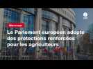 VIDEO. Mercosur : le Parlement européen adopte des protections renforcées pour les agriculteurs