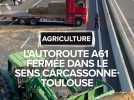 Dermatose nodulaire : l'autoroute A61 fermée dans le sens Carcassonne-Toulouse