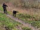 Frédérique Mallebrera et sa chienne Paddy, un duo de championnes de France à Burbure