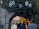 La magie de Noël s'empare de Pairi Daiza