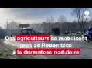 Près de Redon, des agriculteurs mobilisés face à la propagation de la Dermatose nodulaire