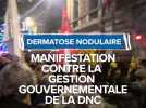 Manifestation DNC Perpignan