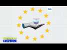 Les Européens sont-ils favorables à l'utilisation de l'argent russe gelé pour soutenir l'Ukraine ?