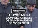Les lycéens du campus agricole de Saint-Gaudens se mobilisent