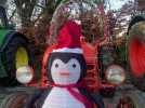 Pour Noël, les tracteurs illuminent le Pays de Lumbres