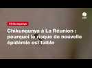 VIDEO. Chikungunya à La Réunion : pourquoi le risque de nouvelle épidémie est faible