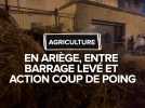 En Ariège, les agriculteurs lèvent le barrage et effectuent une action coup de poing à la préfecture