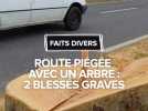 Route piégée avec un arbre : 2 blessés graves