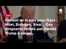 VIDEO. Conseil de la paix pour Gaza : Milei, Erdogan, Sissi... Ces dirigeants invités par Donald Trump à siéger