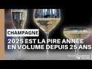 La Champagne a expédié environ 266 millions de bouteilles en 2025