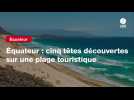 VIDEO. Équateur : cinq têtes découvertes sur une plage touristique