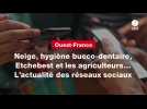 VIDEO. Neige, hygiène bucco-dentaire, Etchebest et les agriculteurs... L'actualité des réseaux sociaux
