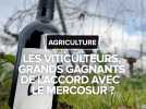 Les viticulteurs seront-ils les grands gagnants de l'accord avec le Mercosur ?