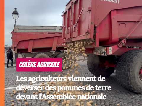 VIDEO : Nos d�put�s auront de quoi se faire d&hellip;