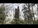 VIDÉO. « Nous sommes obligés de le supprimer » : cet arbre âgé de 160 ans a été abattu, près de Rennes