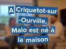 « Le destin a voulu que ce soit à la maison » : près d'Yvetot, Malo est né au domicile familial