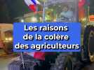 Les raisons de la colère des agriculteurs
