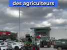 Ce consommateur soutient l'action des agriculteurs