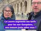 Le Louvre augmente ses tarifs pour les non-Européens : qu'en pensent les visiteurs ?