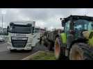 Les agriculteurs se mobilisent à Troyalac'h, à Quimper