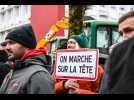 De 10 à 17 heures, on a suivi une journée de mobilisation des agriculteurs à Dijon