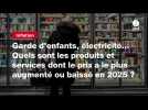 VIDÉO. Garde d'enfants, électricité... Quels sont les produits et services dont le prix a le plus augmenté ou baissé en 2025 ?
