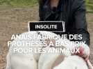 Anaïs fabrique des prothèses pour animaux avec des matériaux de récupération
