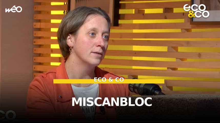 Vidéos : Miscanbloc : le bloc d'isolation biosourcé - L'Est éclair