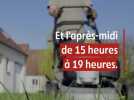 Réglementation - Jours fériés, week-end... À quelle heure a-t-on le droit de tondre sa pelouse ?