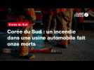VIDEO. Corée du Sud : un incendie dans une usine automobile fait onze morts