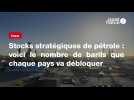 VIDEO. Stocks stratégiques de pétrole : voici le nombre de barils que chaque pays va débloquer