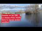 Comme un lac XXL, le niveau d'eau monte dans le marais breton vendéen