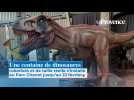 En immersion dans l'exposition de dinosaures qui se tient au Parc Chanot de Marseille