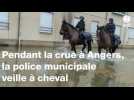 VIDÉO. Pendant les crues à Angers, la police municipale patrouille aussi à cheval