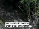 Polluants éternels: c'est quoi les PFAS ?