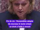 Fin de vie : l'Assemblée adopte de nouveau le texte créant un droit à l'aide à mourir