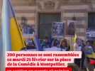Rassemblement à Montpellier 4 ans après l'invasion russe en Ukraine
